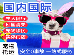 佛山空运代理国际宠物托运 【国